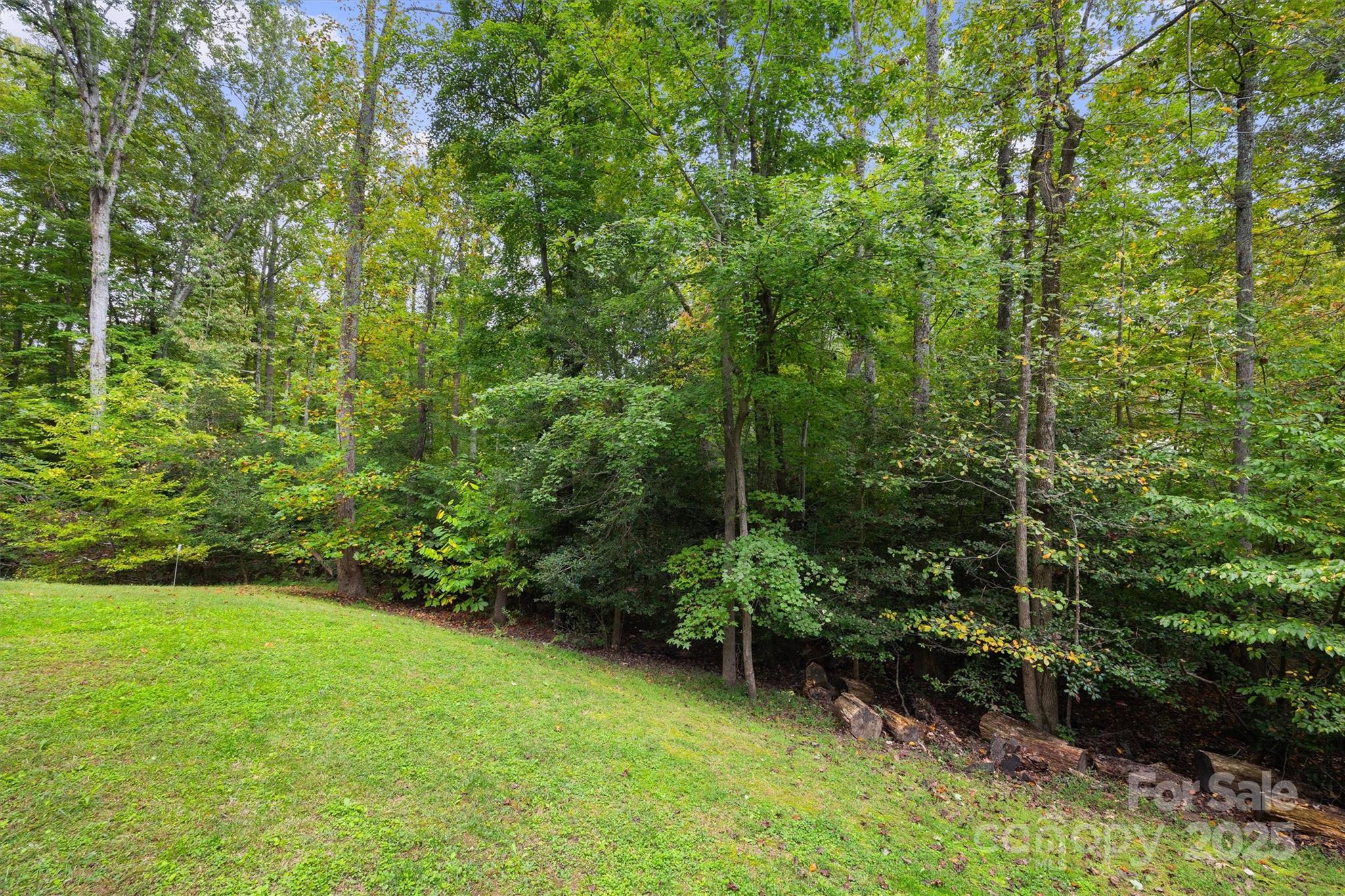 4237 Little Fork Cove Road Denver, NC 28037 - Photo 35 of 38 a view of a backyard with potted plants and large trees