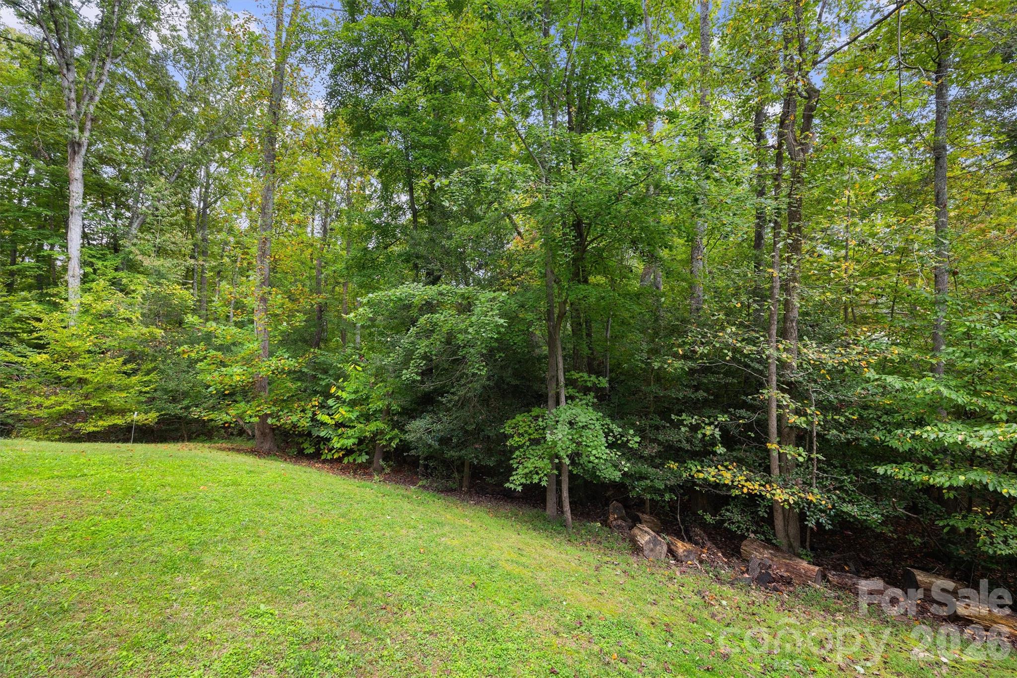 4237 Little Fork Cove Road Denver, NC 28037 - Photo 36 of 40 a view of a backyard with potted plants and large trees