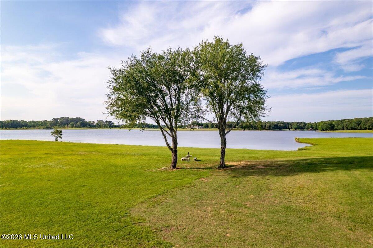 108 Chantry Lane Madison, MS 39110 - Photo 82 of 84 74-Untitled-4
