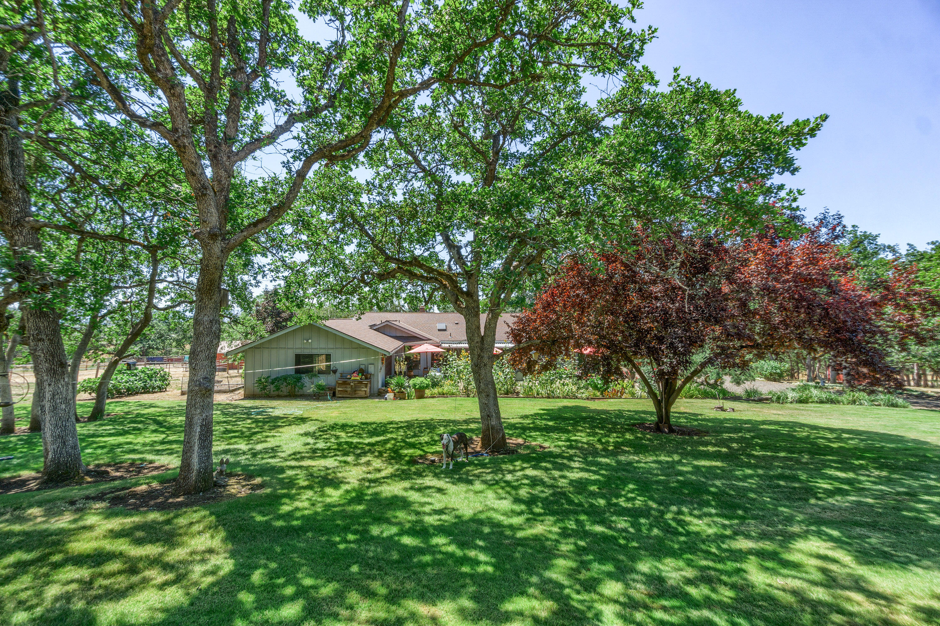 3000 Meridian Road Eagle Point, OR 97524 - Photo 14 of 53 a view of green field with trees in the background