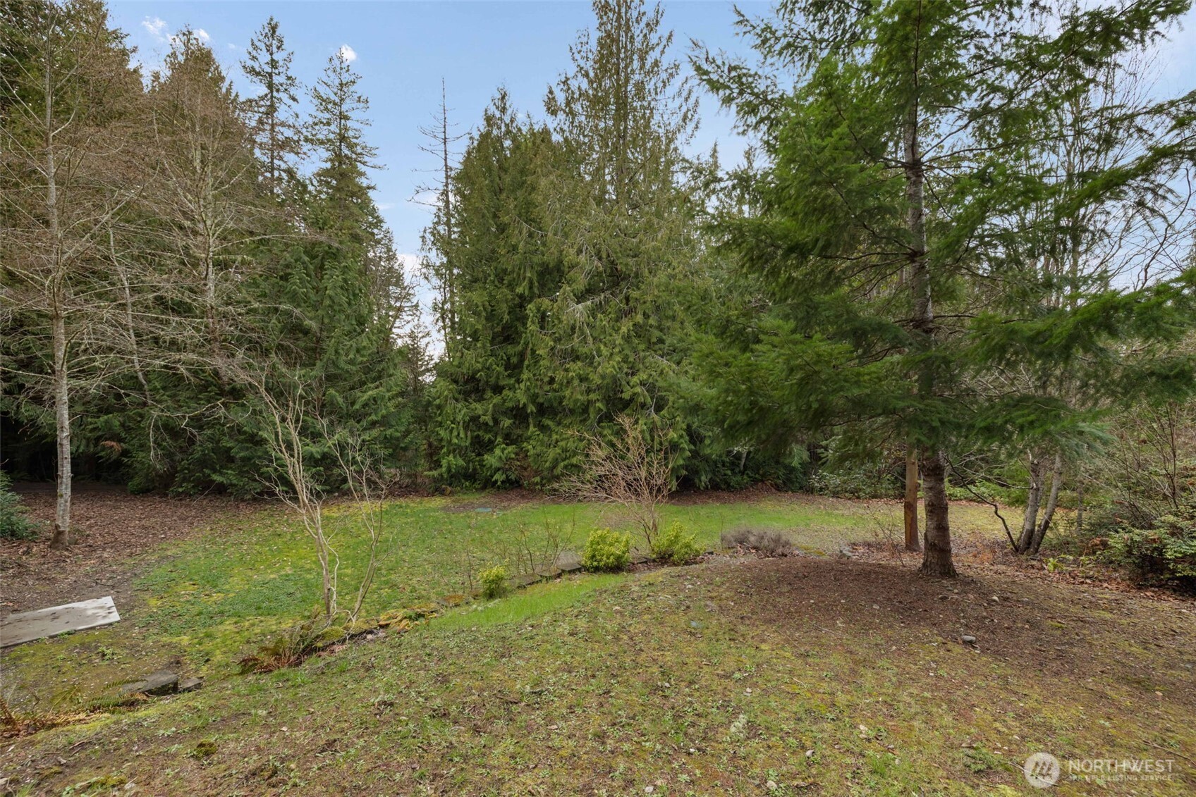 9520 Dishman Road Northwest Bremerton, WA 98312 - Photo 34 of 38 a view of a field with trees in the background