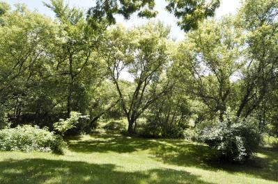 5266 Belding Road Northeast Rockford, MI 49341 - Photo 17 of 19 Additional Photo