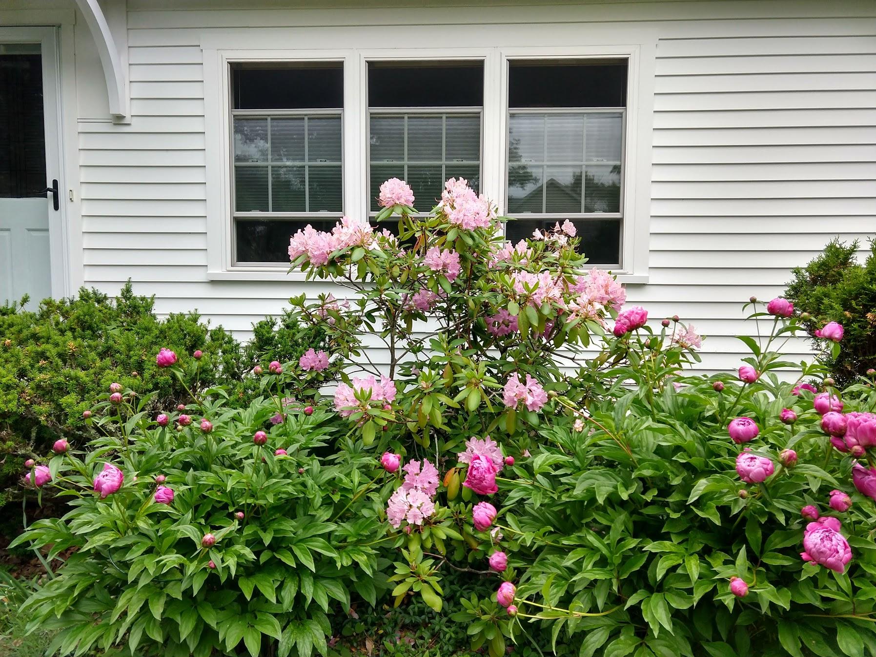 14 Cobb Road Camden, ME 04843 - Photo 38 of 40 Rodiepionese