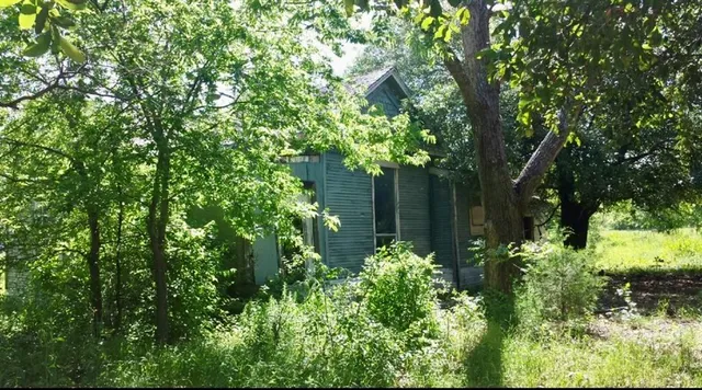 a view of yard with green space