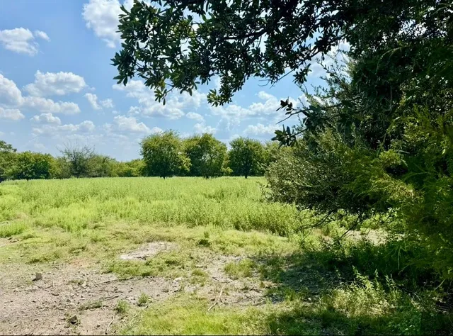 a view of a garden with houses