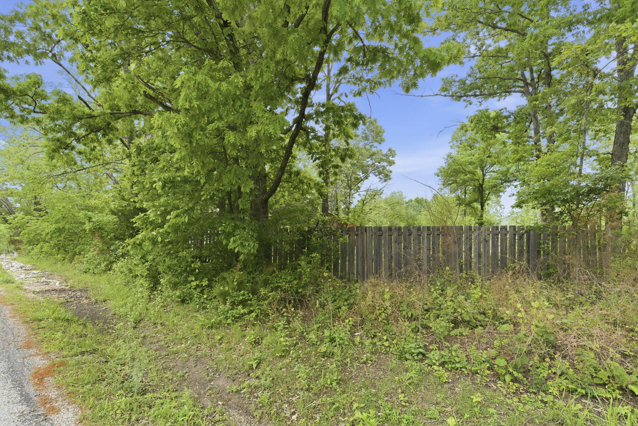 0 Tate Road Ridgedale, MO 65739 - Photo 2 of 17 1-web-or-mls-DSC05683