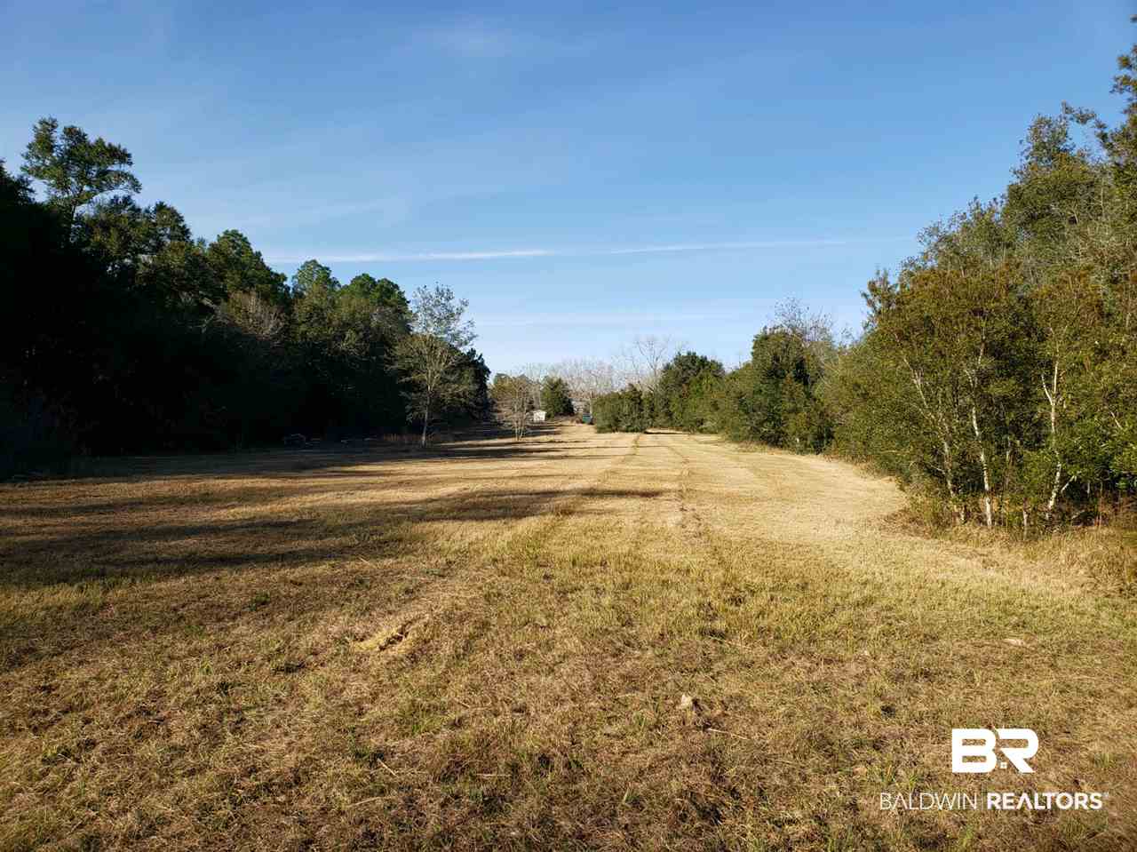 25700 Highway 98 Elberta, AL 36530 - Photo 3 of 10 Backyard