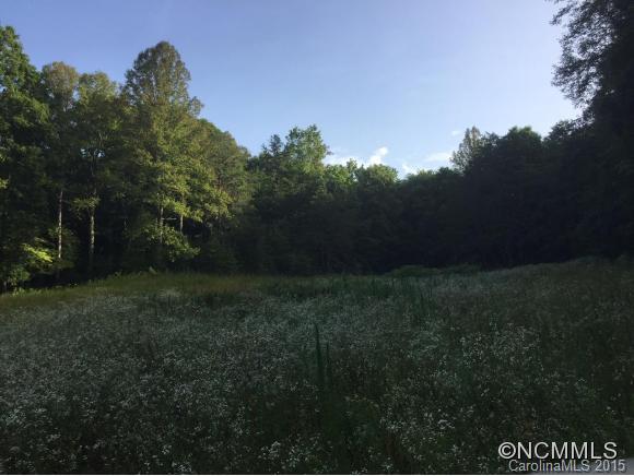 526 Silvers Welch Road Old Fort, NC 28762 - Photo 15 of 18 Gallery Image 15