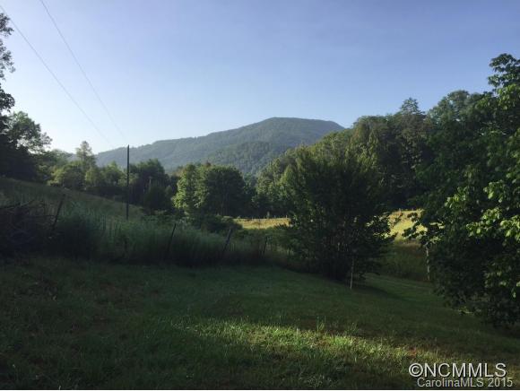 526 Silvers Welch Road Old Fort, NC 28762 - Photo 16 of 18 Gallery Image 16