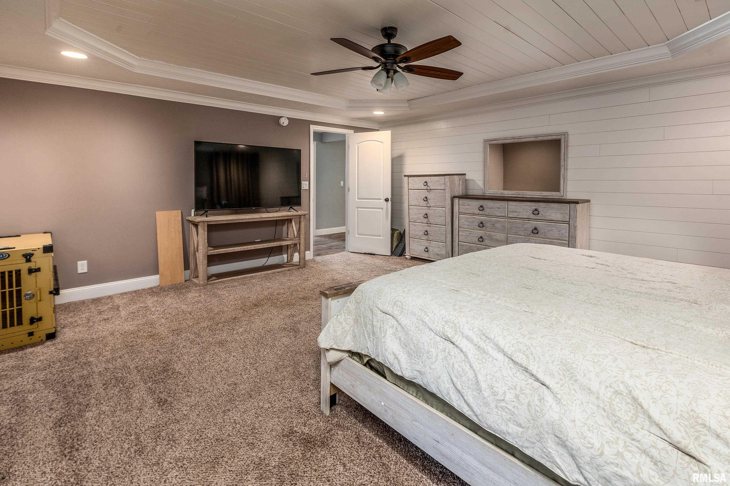 412 Noah Lane Carterville, IL 62918 - Photo 17 of 42