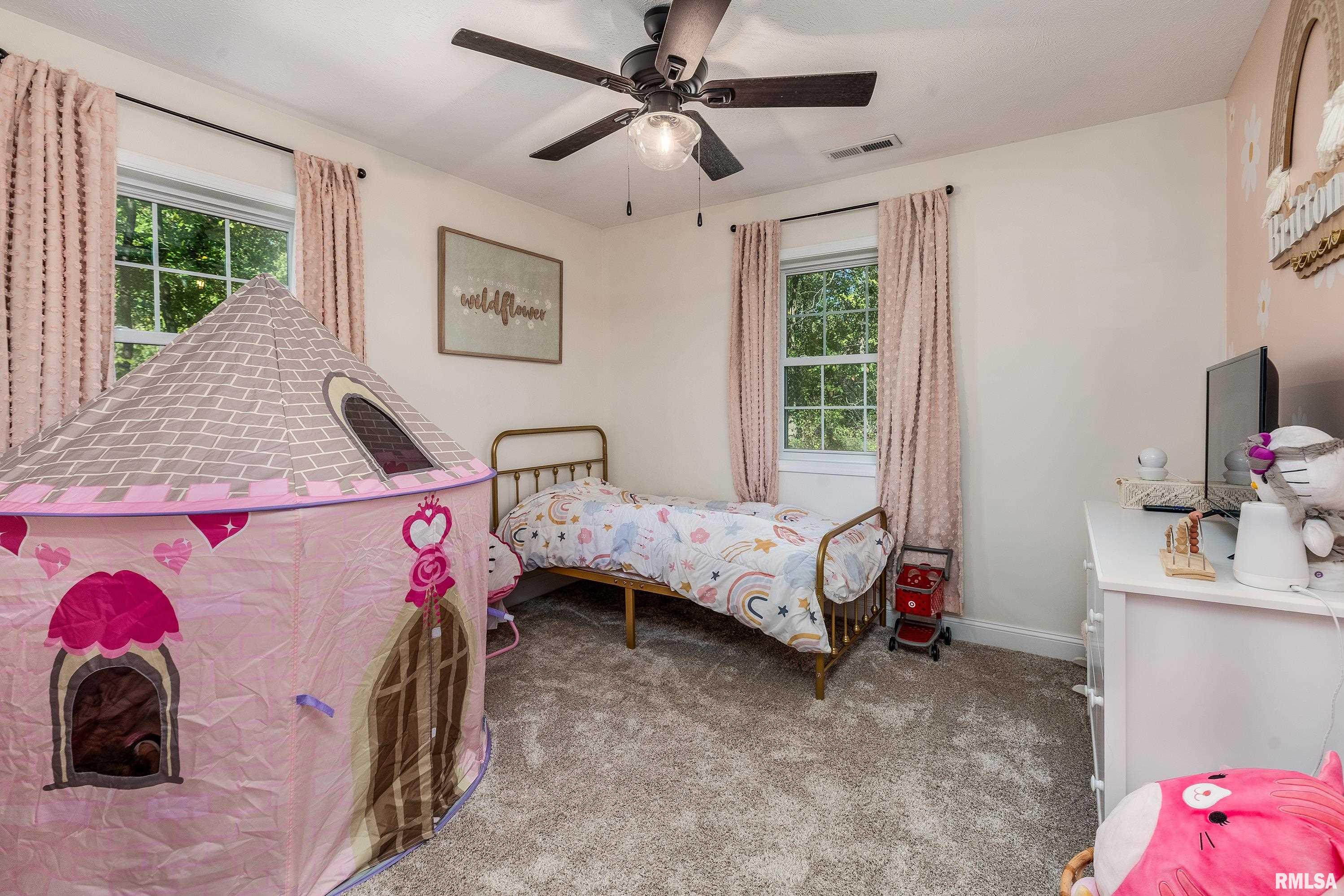 412 Noah Lane Carterville, IL 62918 - Photo 26 of 42