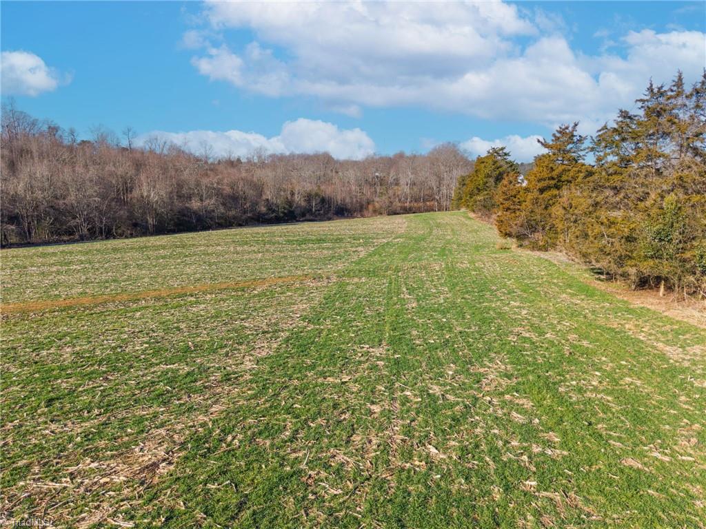 1 Dobbins Mill Road Yadkinville, NC 27055 - Photo 12 of 21