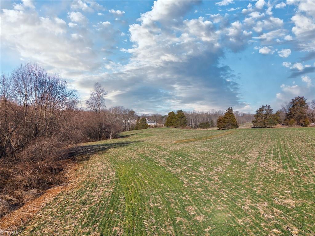 1 Dobbins Mill Road Yadkinville, NC 27055 - Photo 15 of 21