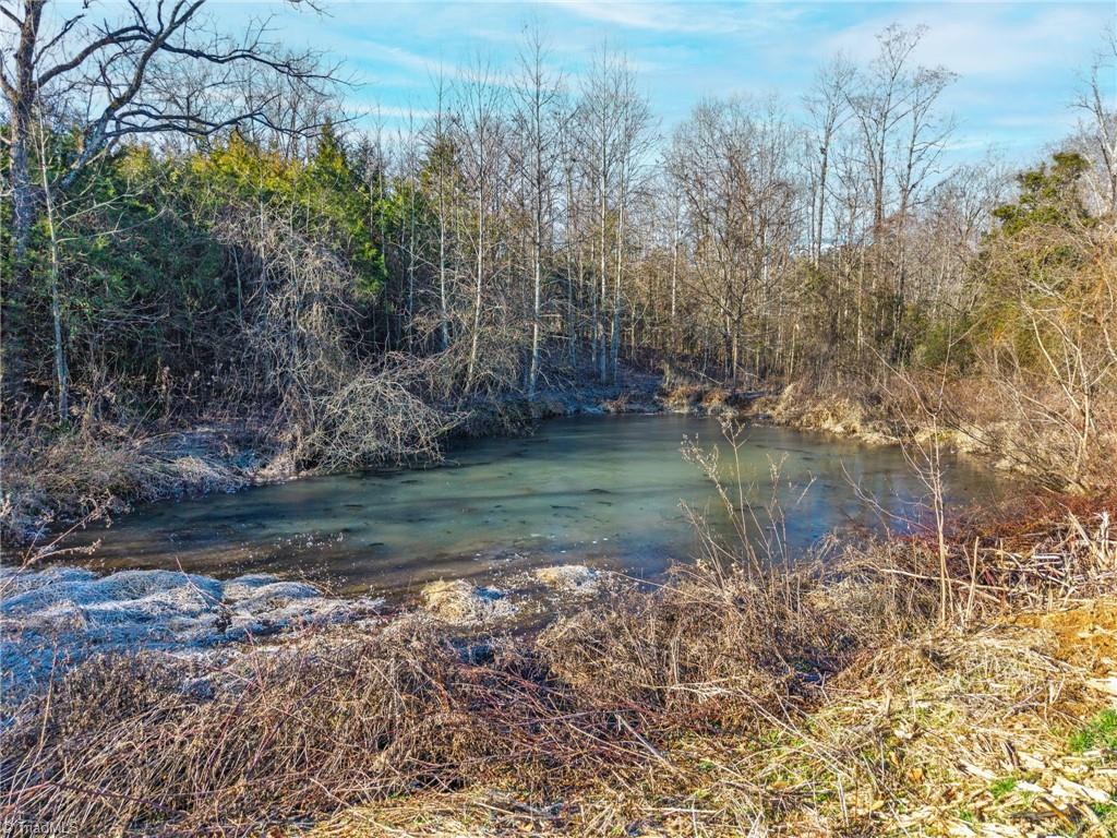 1 Dobbins Mill Road Yadkinville, NC 27055 - Photo 17 of 21