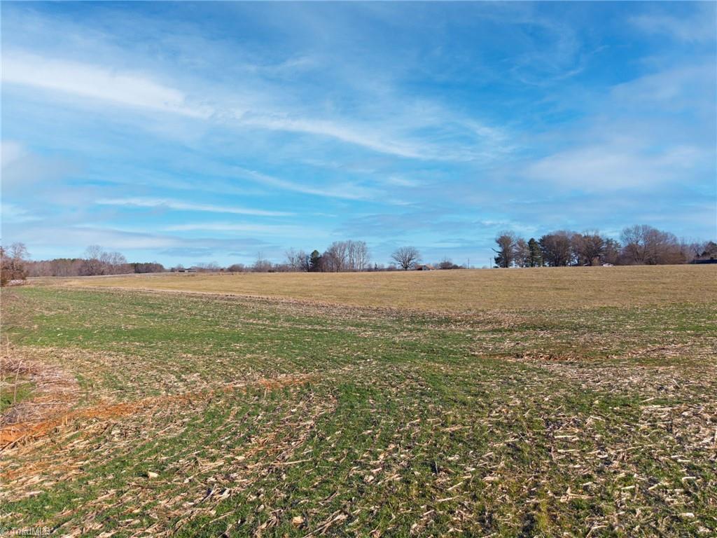 1 Dobbins Mill Road Yadkinville, NC 27055 - Photo 8 of 21