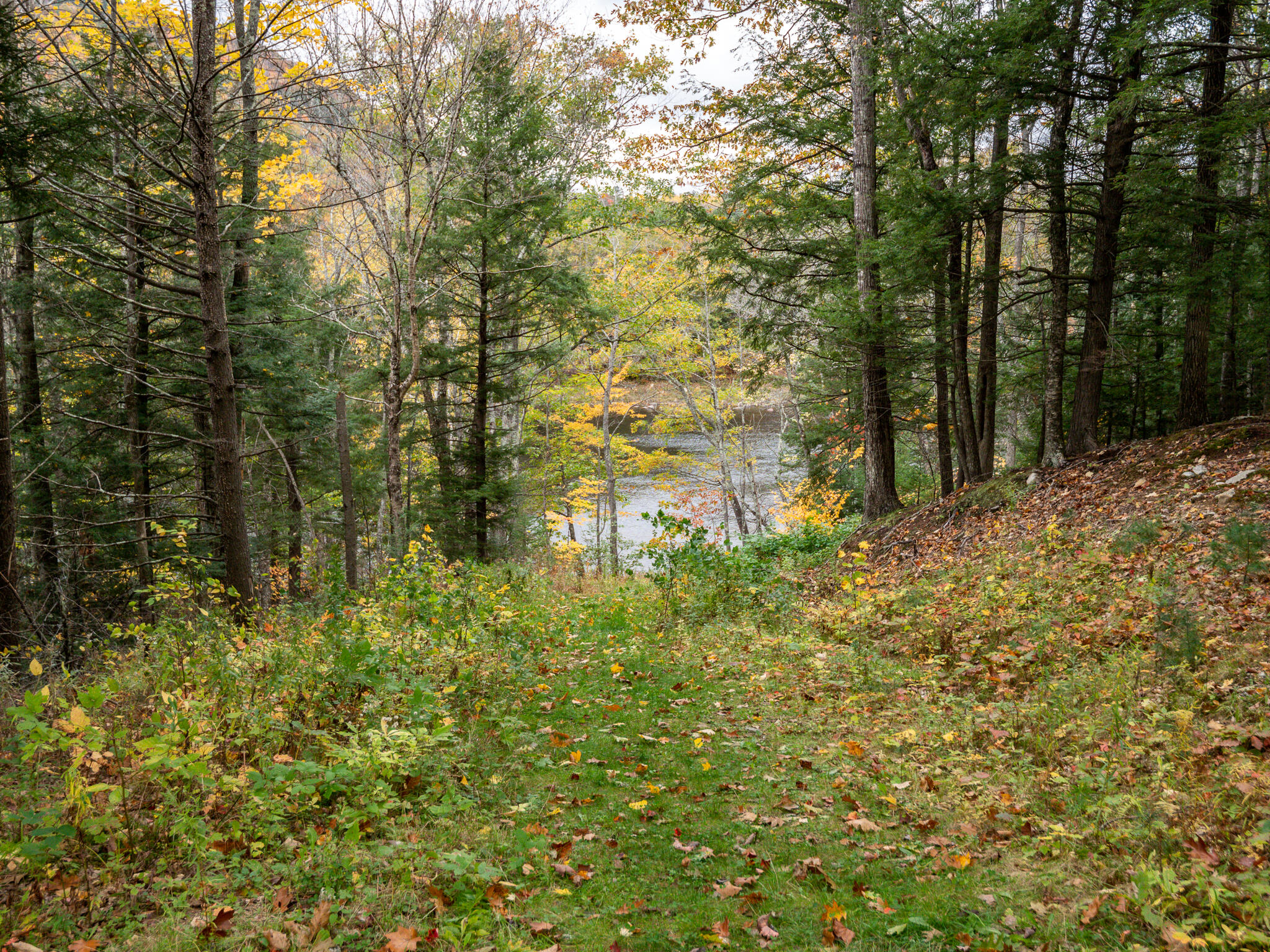 Lot 22 Taylor Woods Road Bethel, ME 04217 - Photo 4 of 4 Taylor Woods Lot 18-3
