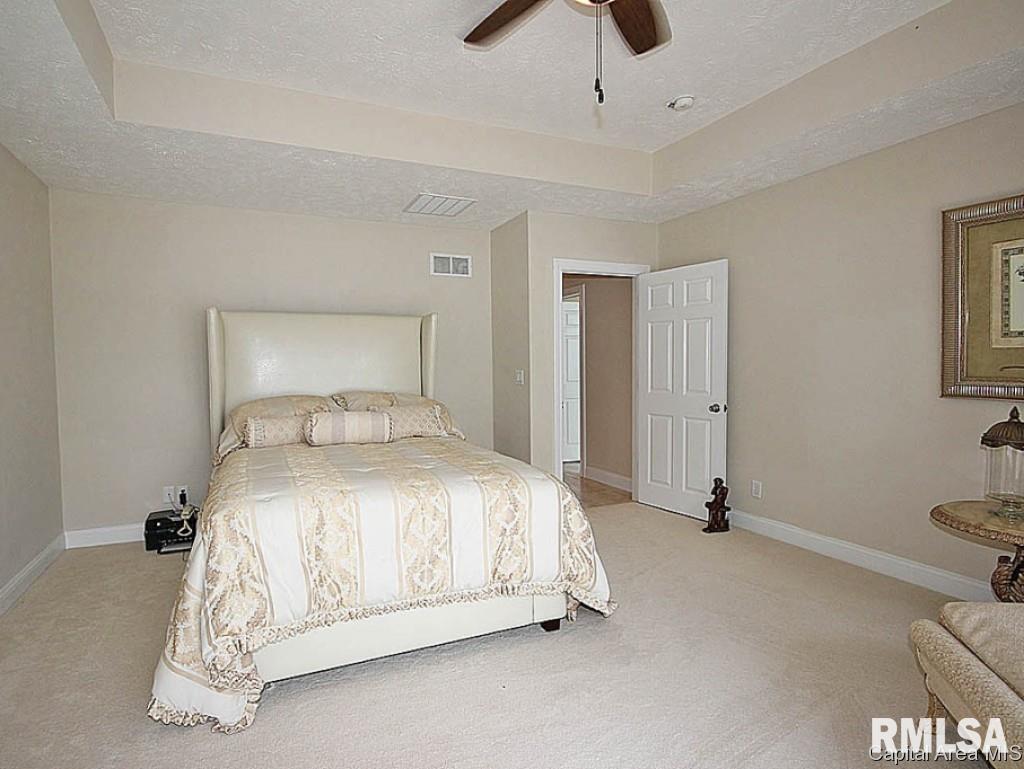 13 Fairview Lane Springfield, IL 62711 - Photo 11 of 27