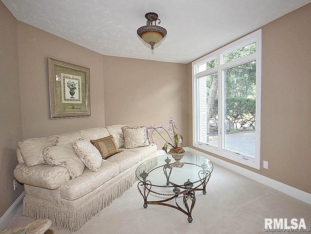 13 Fairview Lane Springfield, IL 62711 - Photo 17 of 27