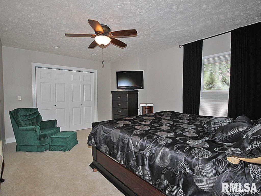 13 Fairview Lane Springfield, IL 62711 - Photo 20 of 27