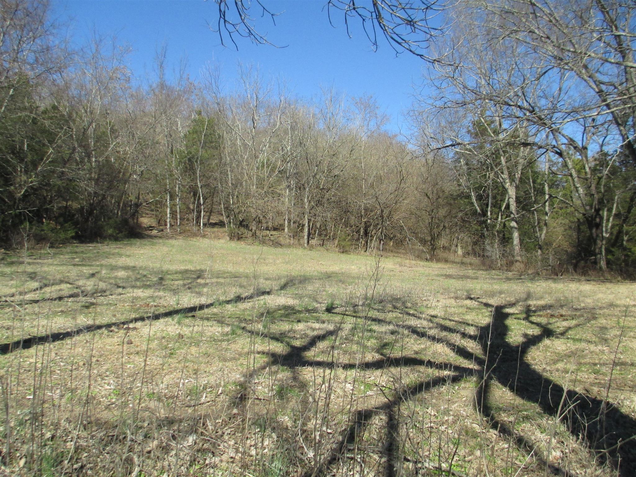 1935 Chicken Road Lebanon, TN 37090 - Photo 25 of 28 a view of a yard with an outdoor space