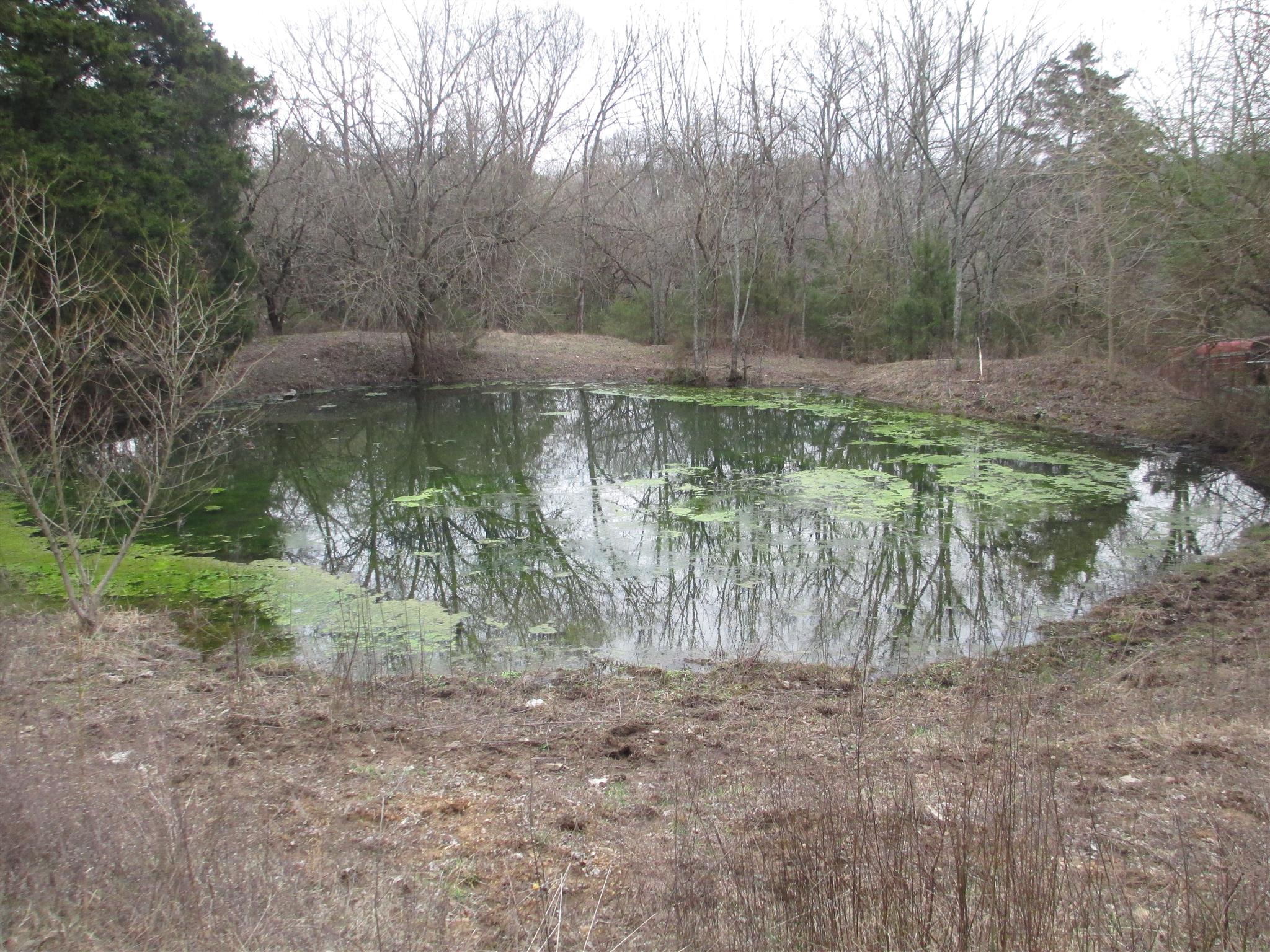 1935 Chicken Road Lebanon, TN 37090 - Photo 27 of 28 a backyard of a house with lots of green space