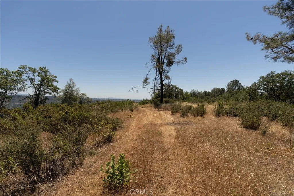 0 Doe Mill Road Magalia, CA 95954 - Photo 23 of 48 Gallery Image 23