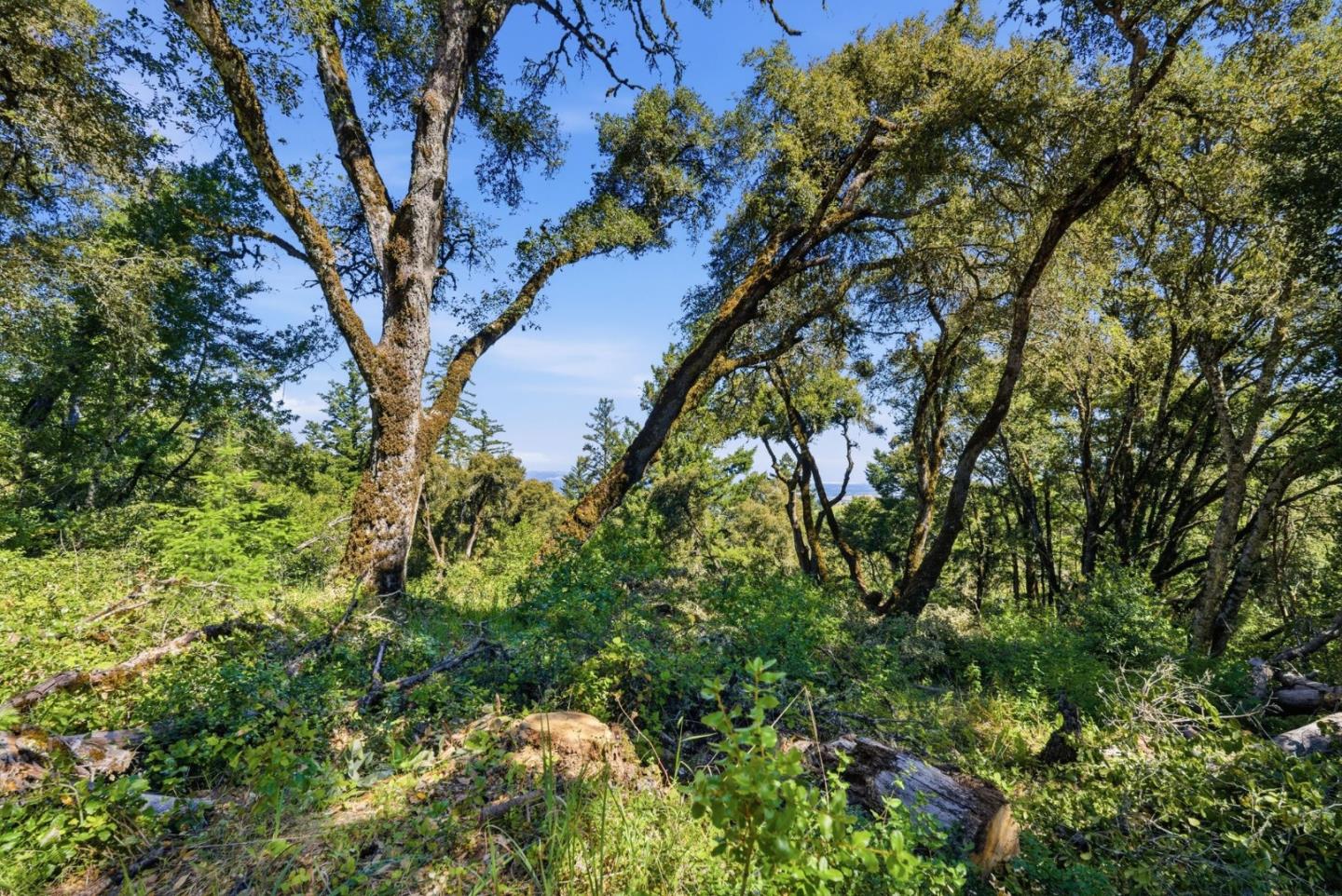 0 Page Mill Road Redwood City, CA 94062 - Photo 21 of 37