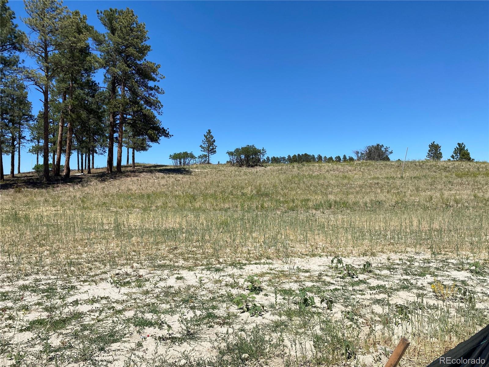 5772 Powell Road Parker, CO 80134 - Photo 2 of 4 Gallery Image 2