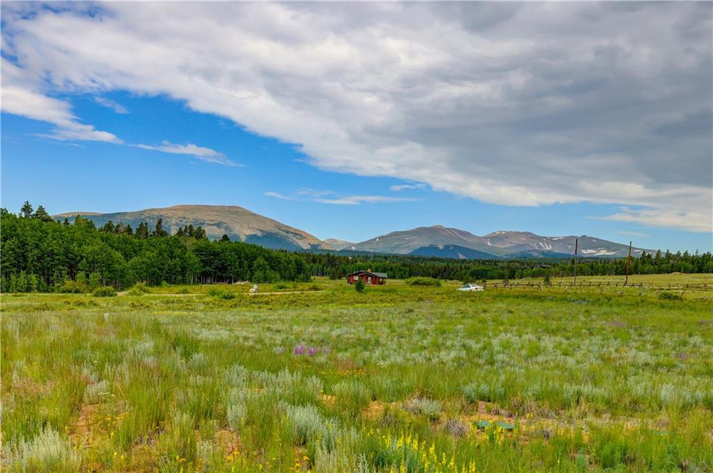 328 Vine Road Fairplay, CO 80440 - Photo 11 of 31 Gallery Image 11