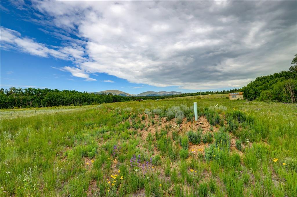 328 Vine Road Fairplay, CO 80440 - Photo 12 of 31 Gallery Image 12
