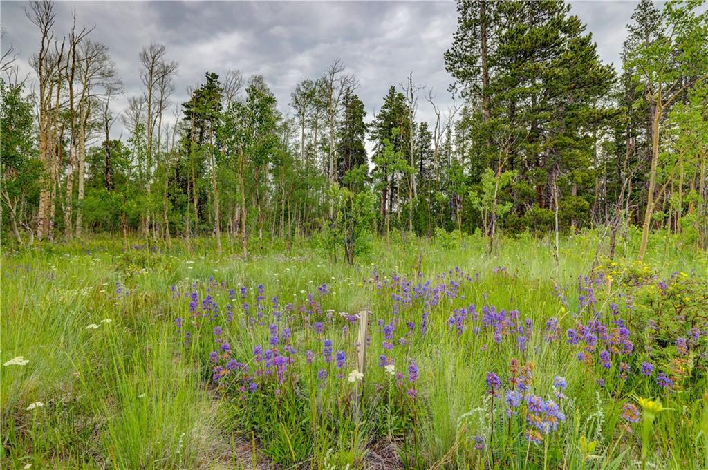 328 Vine Road Fairplay, CO 80440 - Photo 13 of 31 Gallery Image 13
