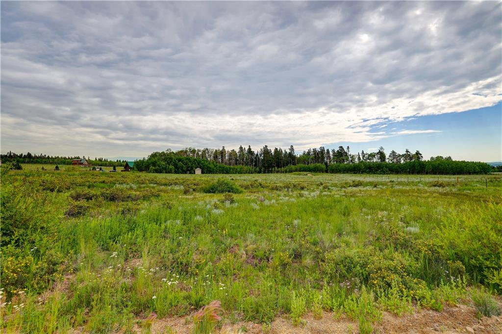 328 Vine Road Fairplay, CO 80440 - Photo 3 of 31 Gallery Image 3