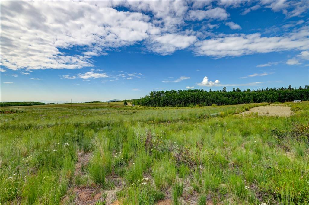 328 Vine Road Fairplay, CO 80440 - Photo 7 of 31 Gallery Image 7