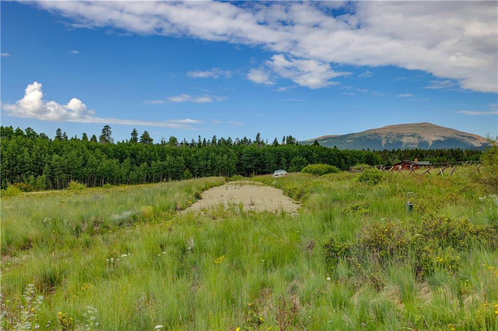 328 Vine Road Fairplay, CO 80440 - Photo 8 of 31 Gallery Image 8