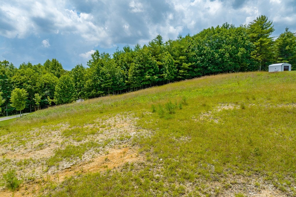 1099 Pine Mountain Road Independence, VA 24348 - Photo 55 of 61 Gallery Image 55