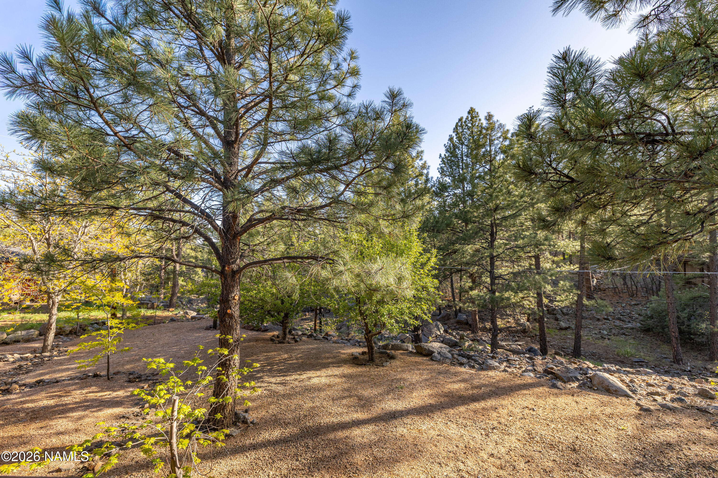155 Sandia Circle Munds Park, AZ 86017 - Photo 31 of 44 CP-18 3