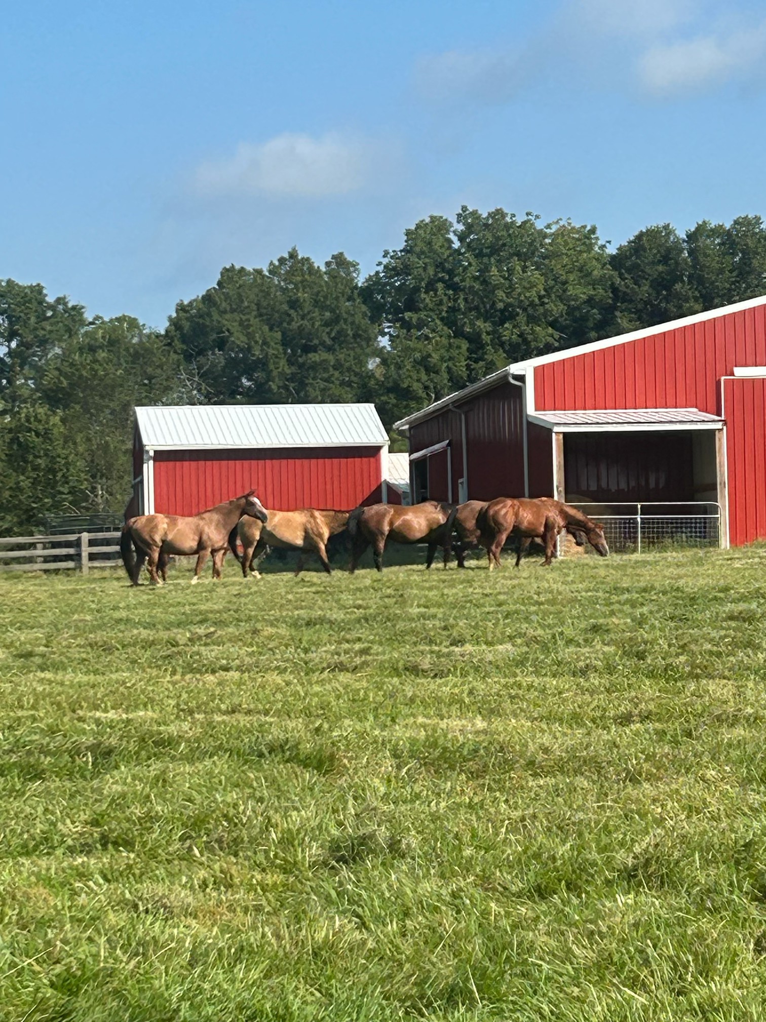 209 Academy Road Lebanon, TN 37087 - Photo 46 of 46 Gallery Image 46