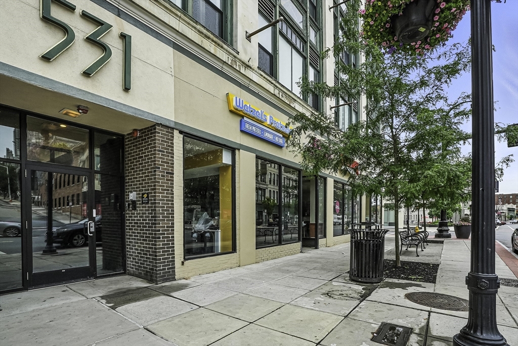 531 Main Street, Unit 410M Worcester, MA 01608 - Photo 2 of 29 a view of a building with a tree
