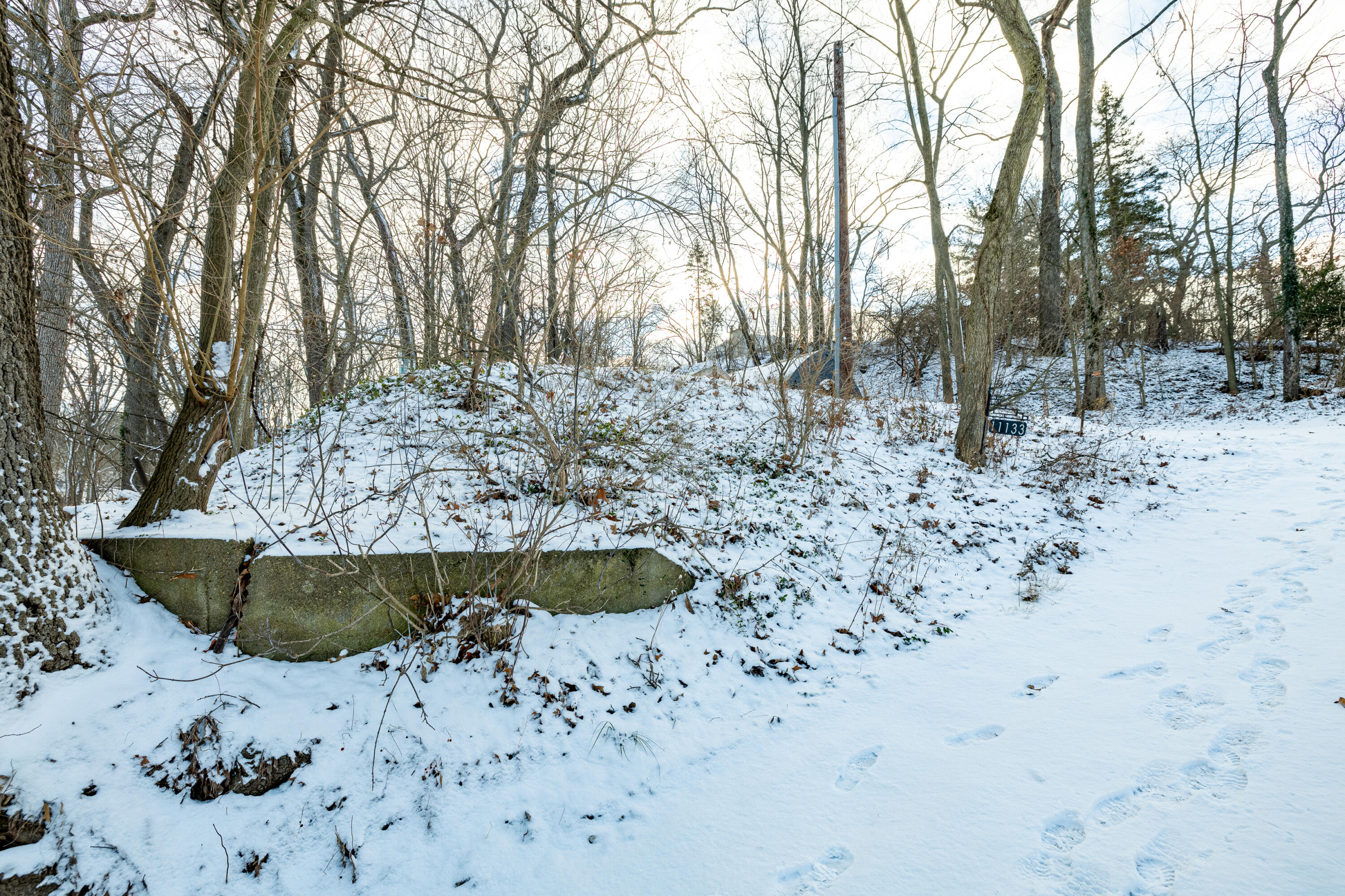 11133 Hillside Pinckney, MI 48169 - Photo 11 of 16 11133 Hillside (11 of 11)
