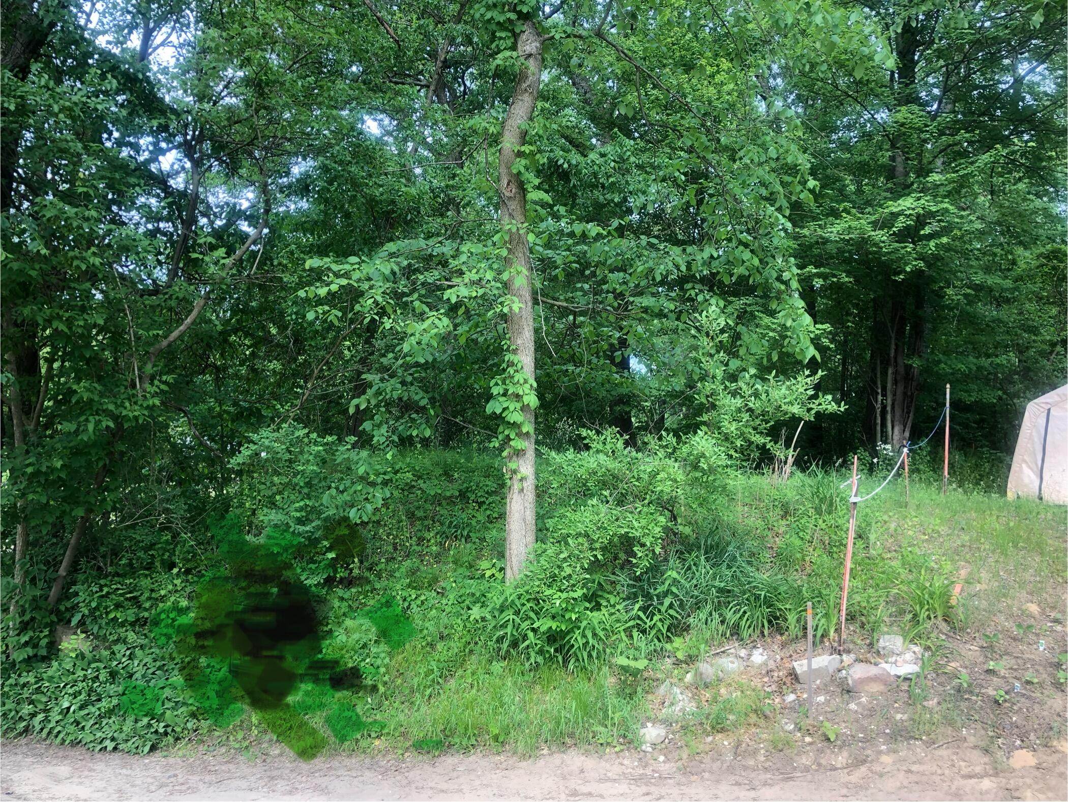 11133 Hillside Pinckney, MI 48169 - Photo 7 of 16 Img 2