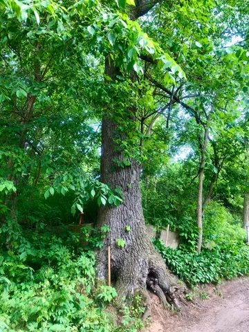 $25,000 | 11133 Hillside, Pinckney, MI 48169