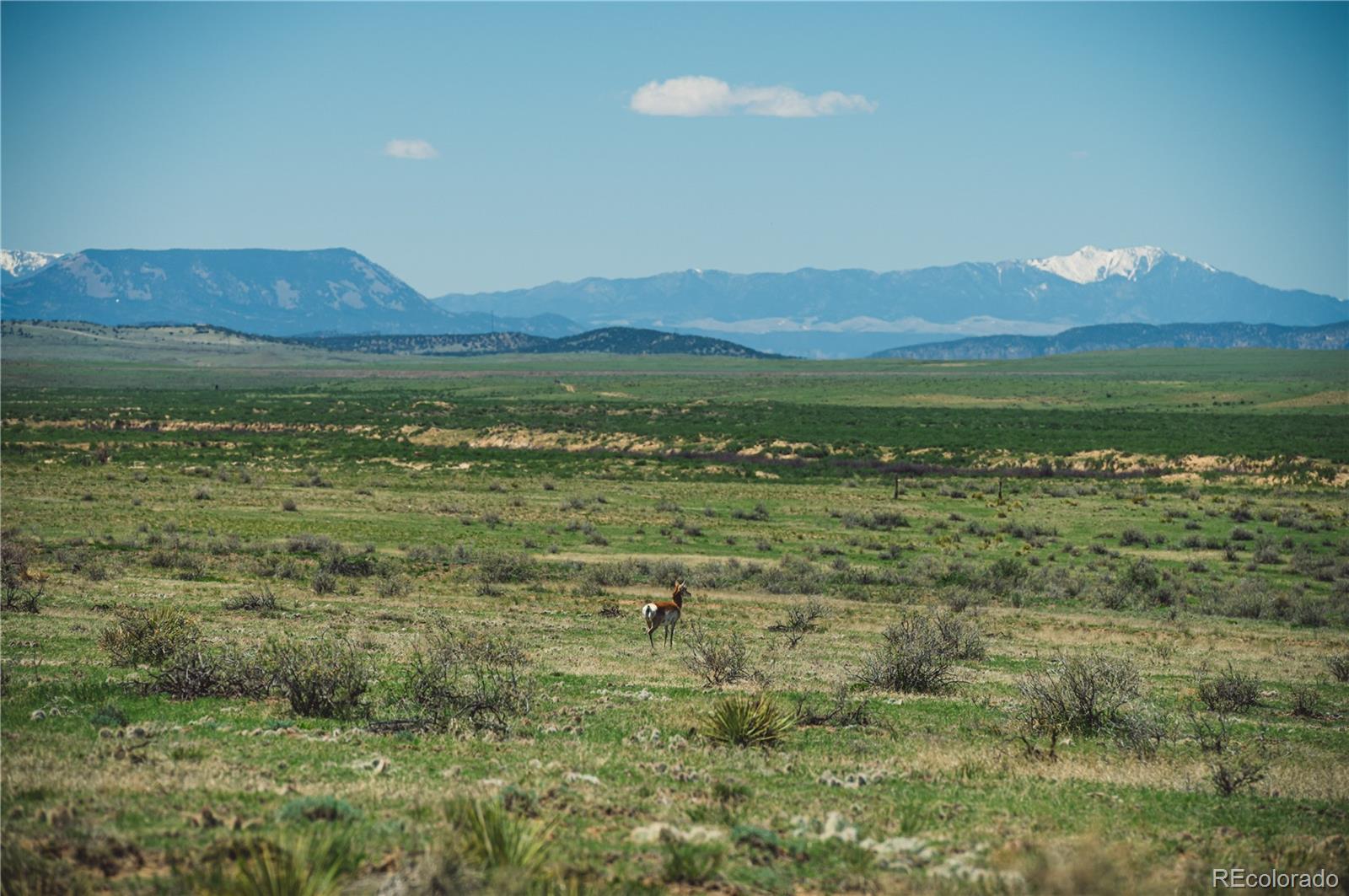 Lot 262 County Road Walsenburg, CO 81089 - Photo 12 of 18