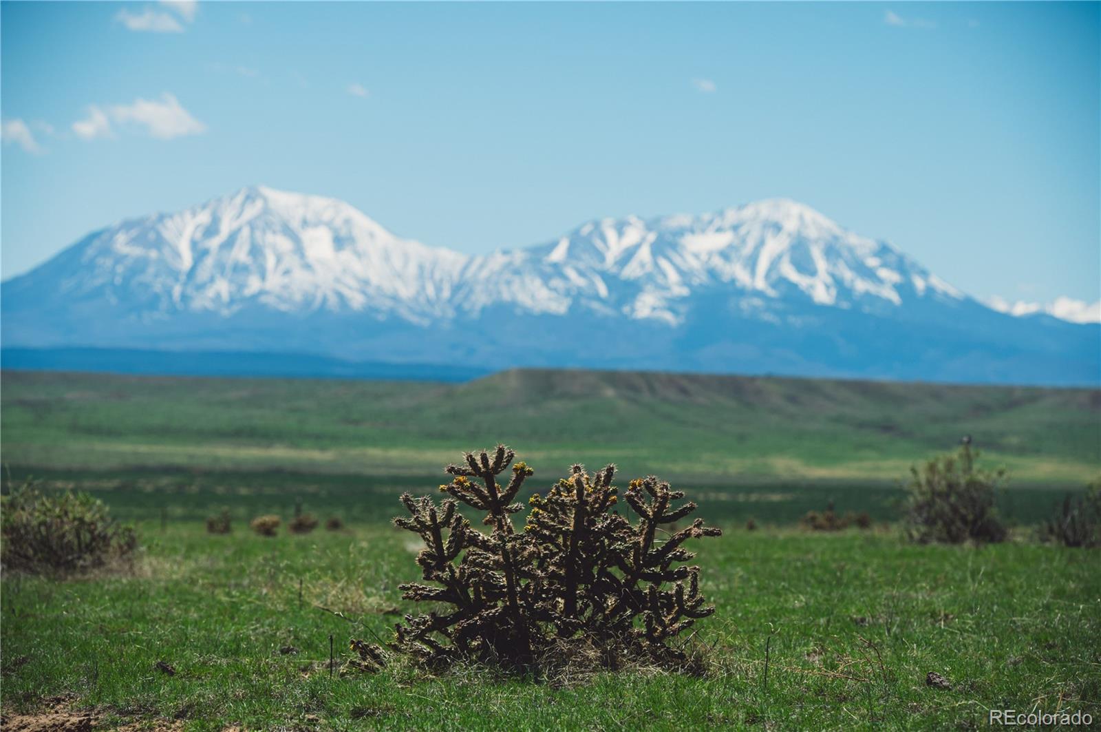 Lot 262 County Road Walsenburg, CO 81089 - Photo 14 of 18