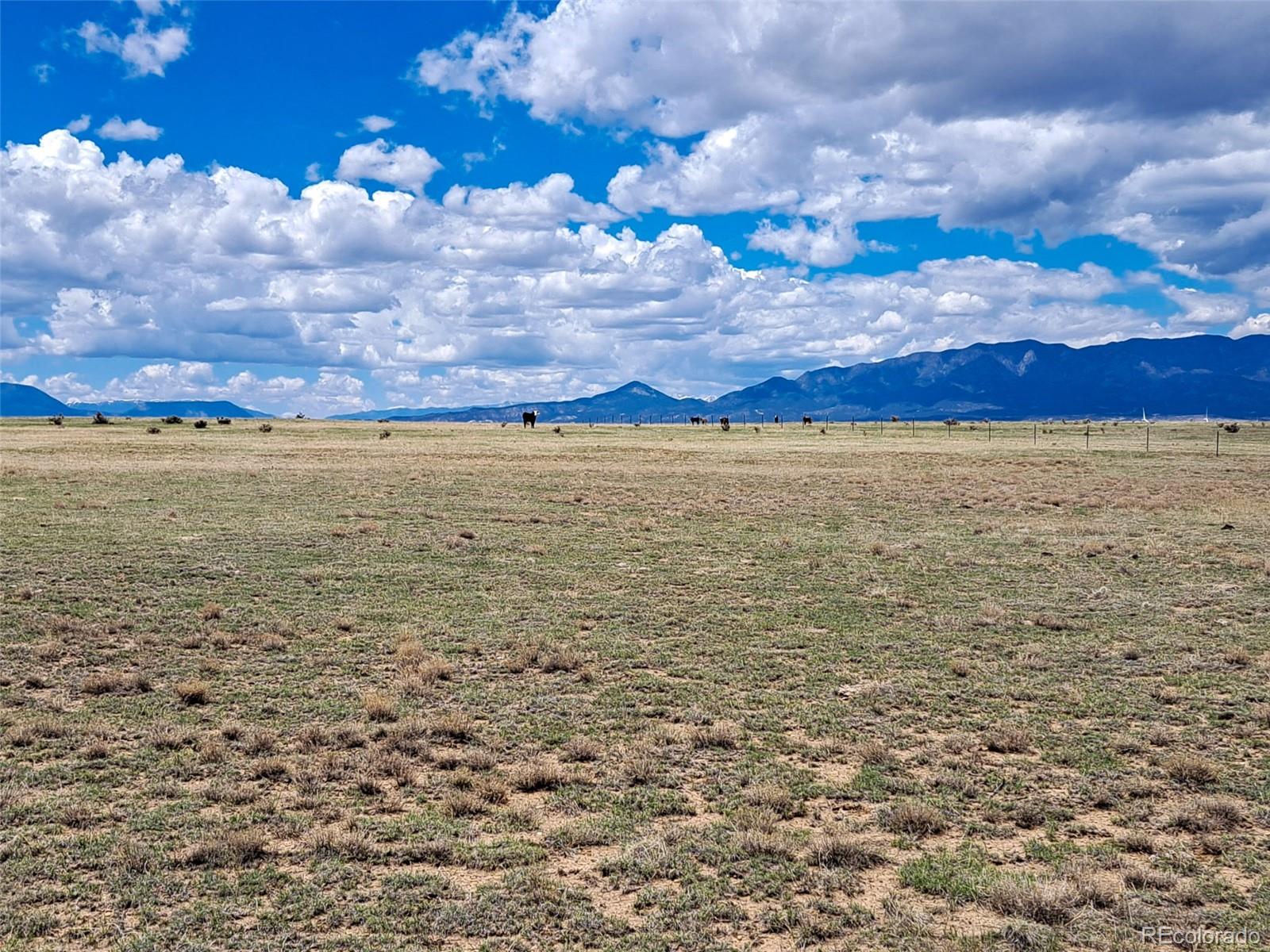 Lot 262 County Road Walsenburg, CO 81089 - Photo 4 of 18