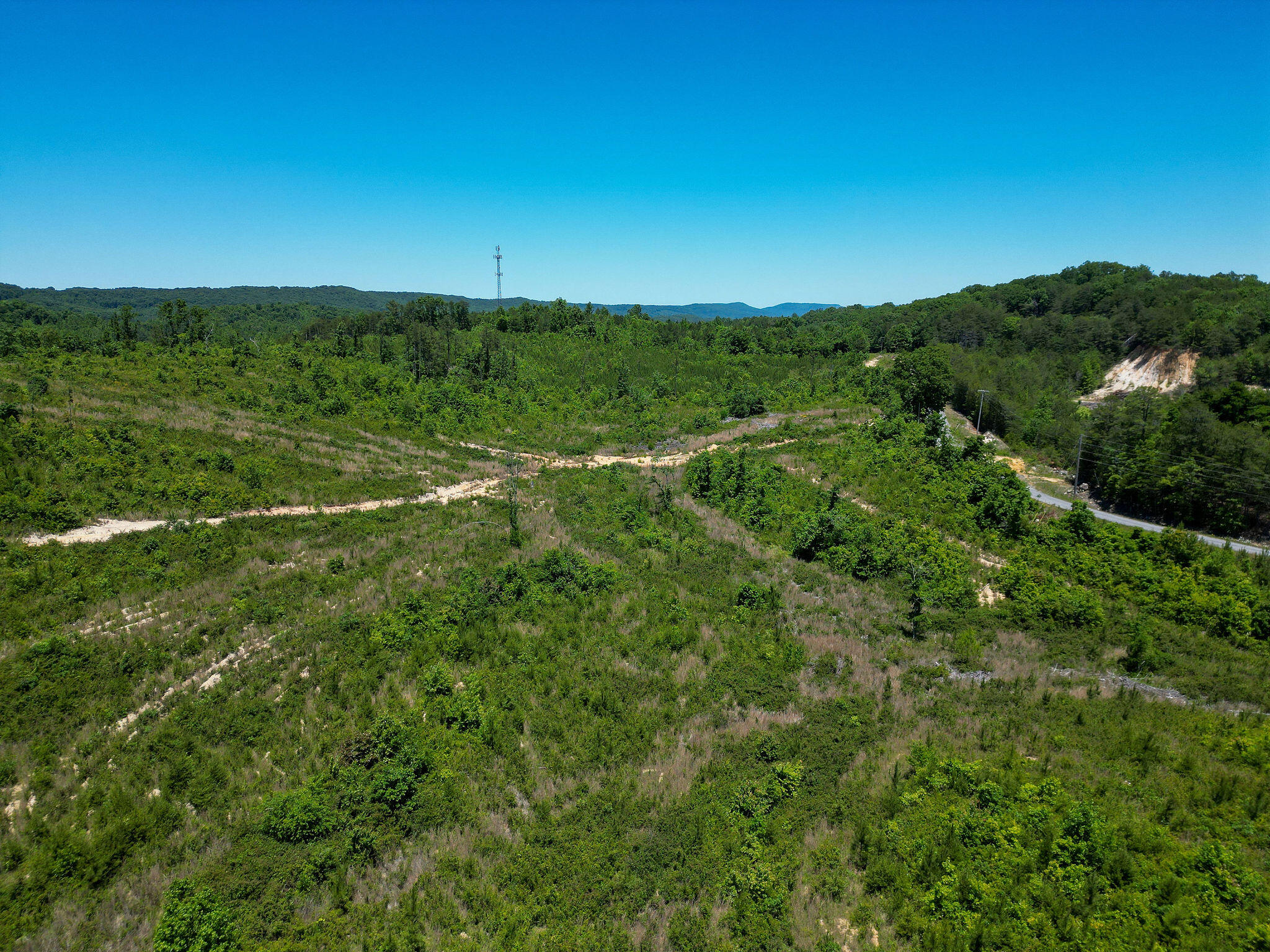 74-acs Bethel Road Valley Head, AL 35989 - Photo 6 of 12 DJI_0219