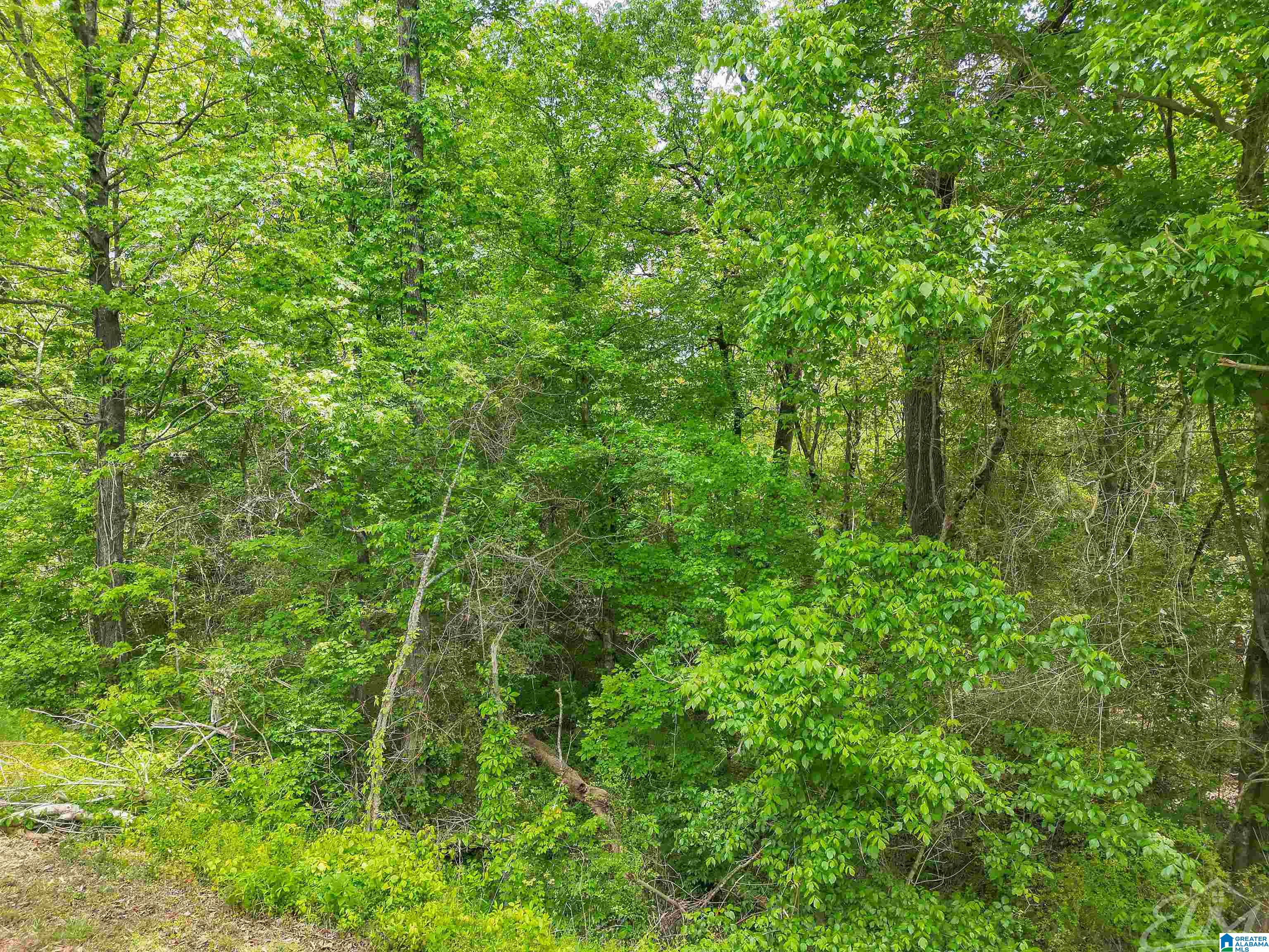 0 Moreland Road, Unit 1 Brierfield, AL 35035 - Photo 9 of 15