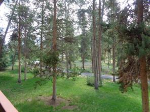 240 Tennis Club Road, Unit 1666 Keystone, CO 80435 - Photo 20 of 25 Gallery Image 20