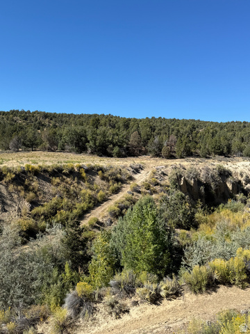 1 Mineral Springs Road Mount Carmel, UT 84755 - Photo 5 of 15