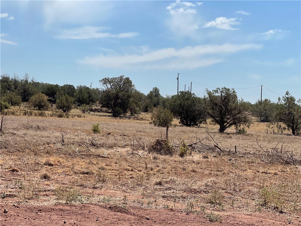 825 West Cyn Road Williams, AZ 86046 - Photo 8 of 8 a view of a dry yard with trees