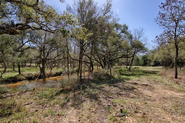 a view of backyard with green space